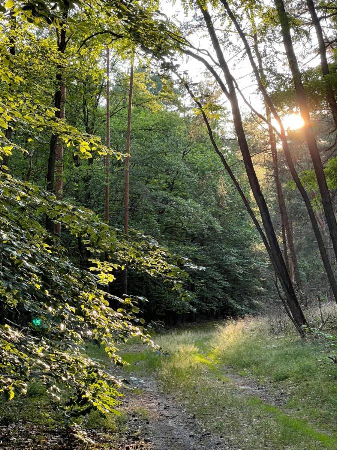 Ferienwohnung Unter Den Linden Halbe Luaran gambar